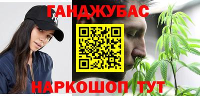СК Дубна